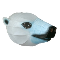 Trophée Ours Blanc